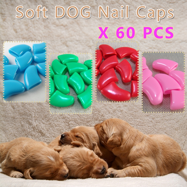 Dog Nail Grips - Dog Paw Grips for Senior Dogs, Dog Nail Covers for  Hardwood Floors, and Provide Traction for Dog Paws （S30PCS） : Amazon.co.uk:  Pet Supplies